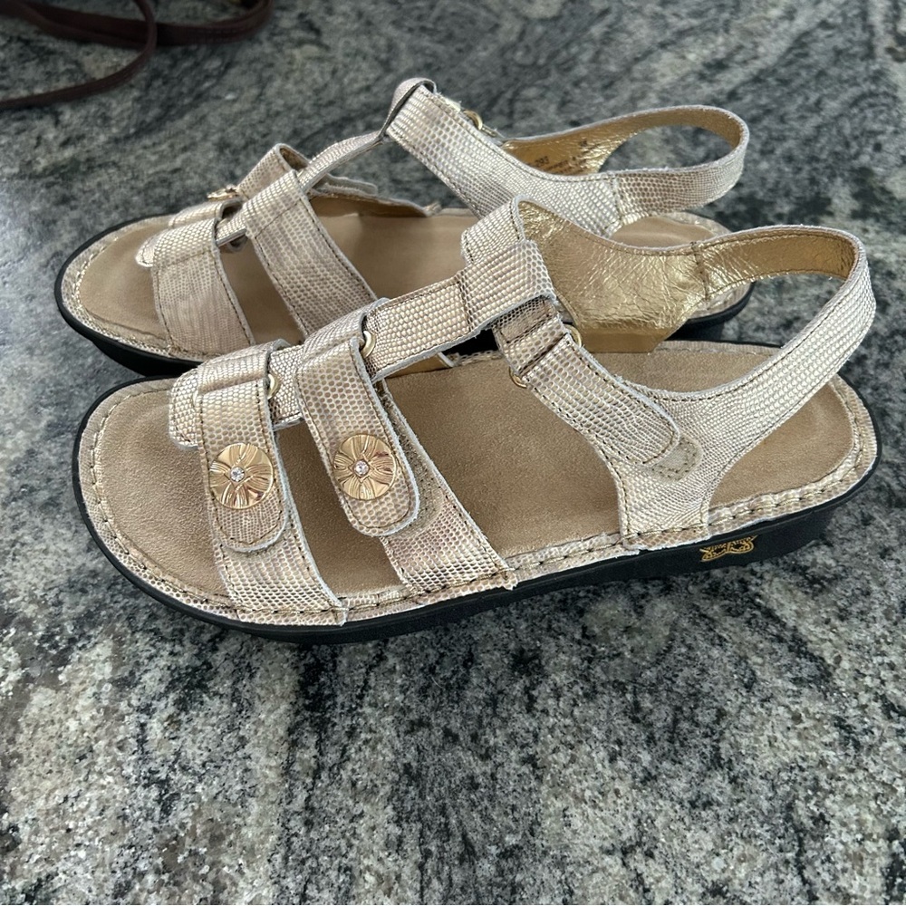 Alegria Klio Gold Sandals with Adjustable Straps and Cushioned Footbed - Picture 2 of 7